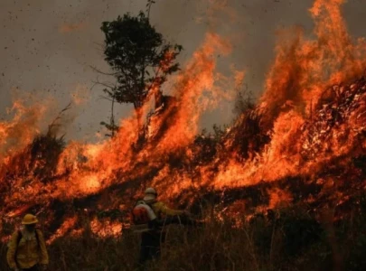 brazil deploys 1 500 firefighters to amazon fires